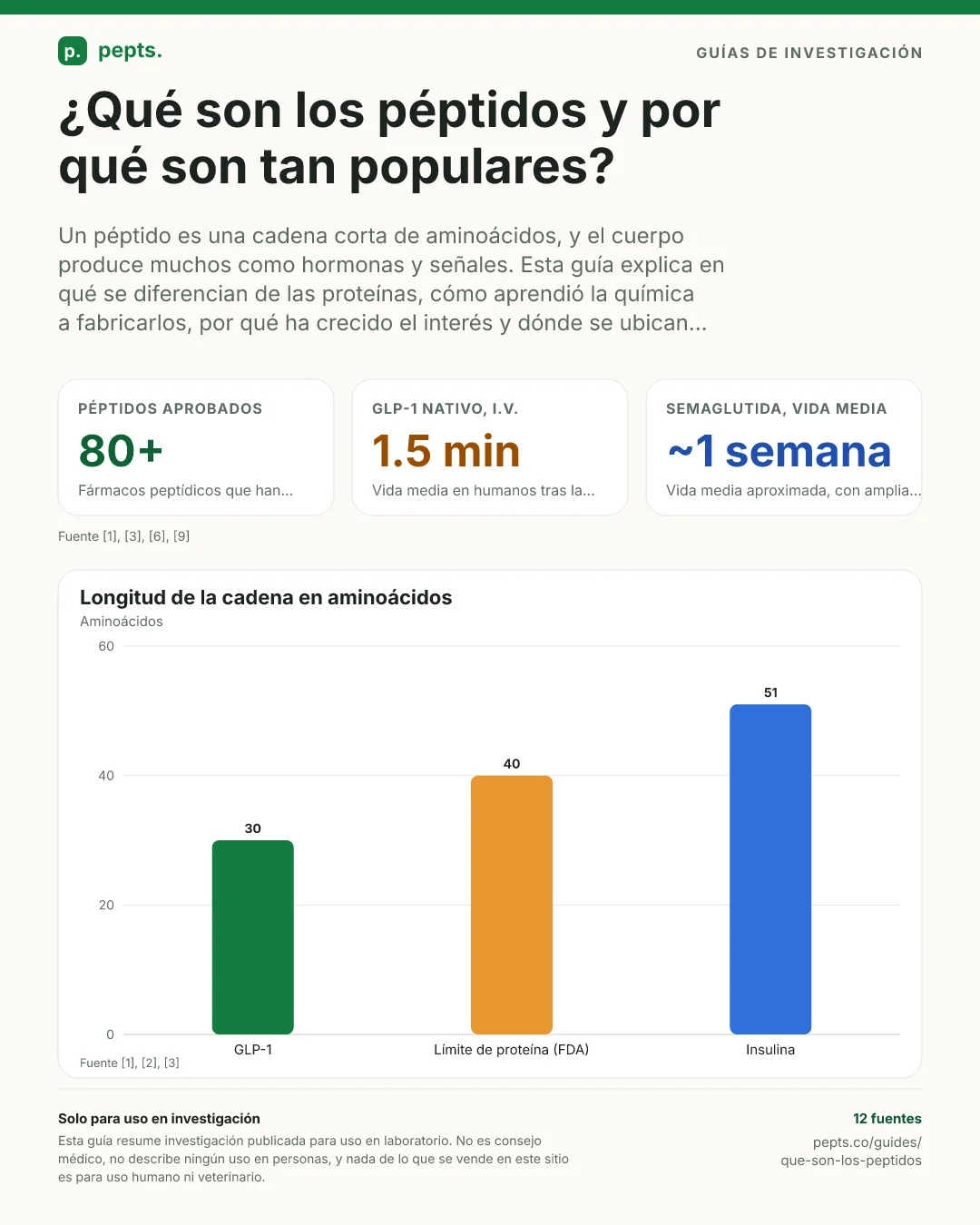 ¿Qué son los péptidos? Un gráfico resumen que muestra un péptido como una cadena corta de aminoácidos, la cifra de más de 80 fármacos peptídicos aprobados, la vida media del GLP-1 nativo y la vida media aproximada de la semaglutida.
